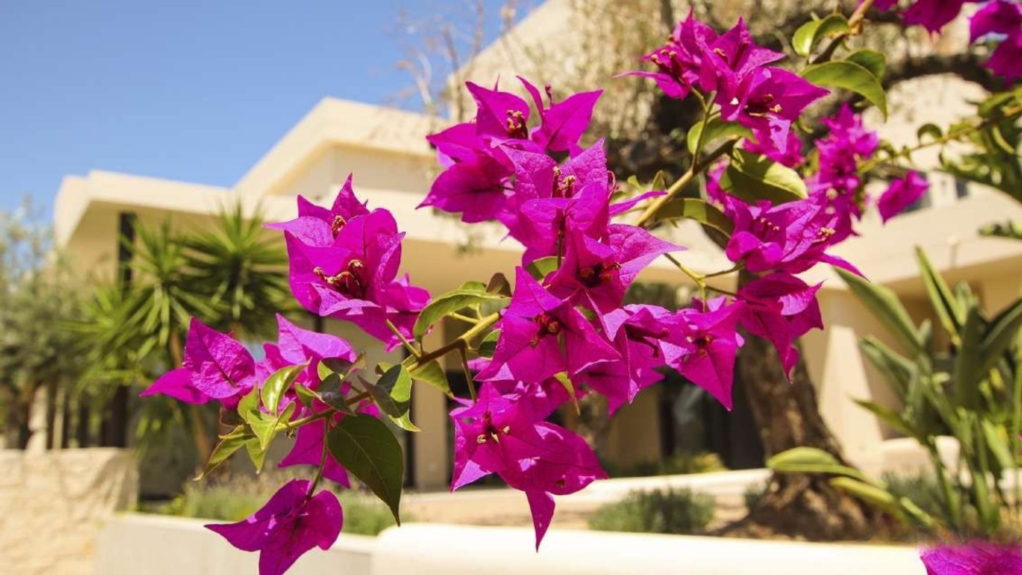 villa en La Marina – Ref. 82967884-01