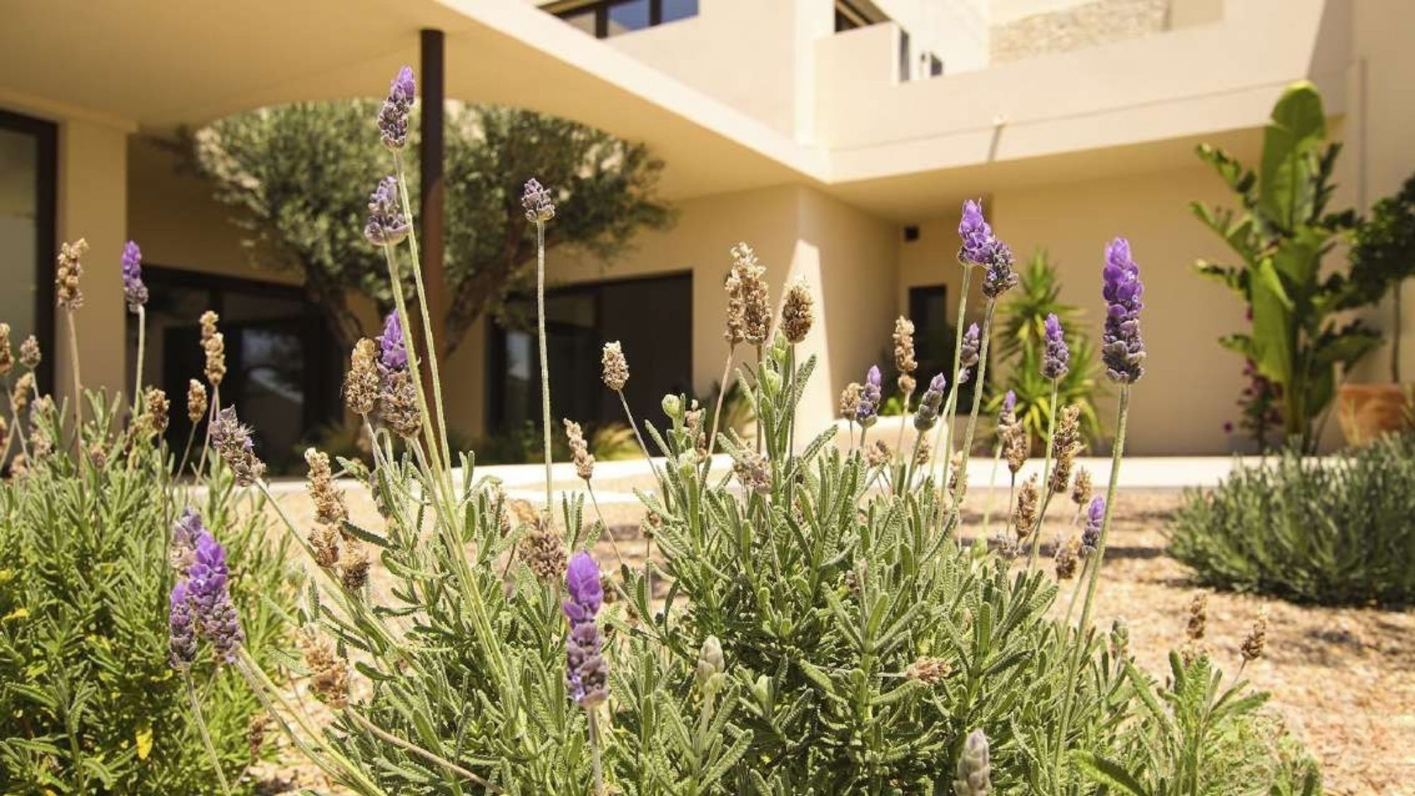 villa en La Marina – Ref. 82967884-01