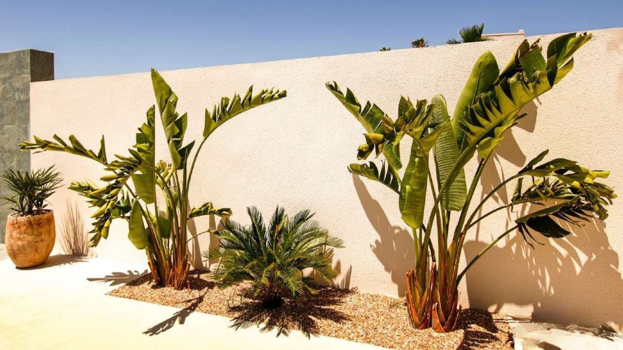 villa en La Marina – Ref. 82967884-01